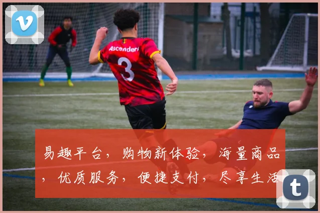 易趣平台，购物新体验，海量商品，优质服务，便捷支付，尽享生活乐趣，三重优惠，不容错过，抢购从速