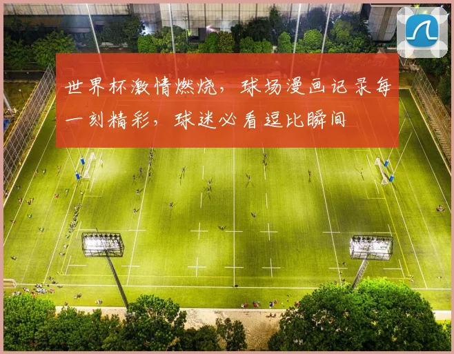 世界杯激情燃烧，球场漫画记录每一刻精彩，球迷必看逗比瞬间