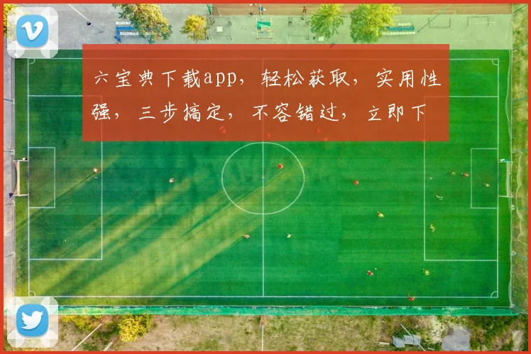 六宝典下载app，轻松获取，实用性强，三步搞定，不容错过，立即下载